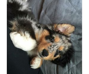 link.php?email=&zid=&tag=&source=&affid=